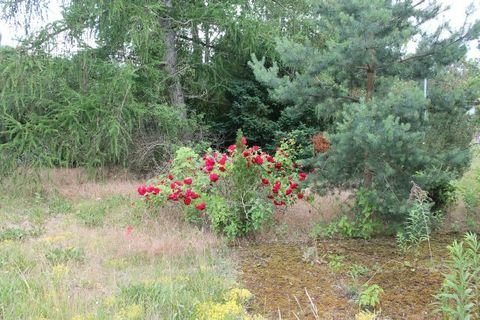 Fredersdorf-Vogelsdorf Grundstücke, Fredersdorf-Vogelsdorf Grundstück kaufen