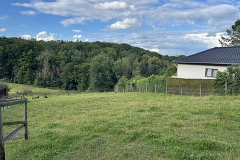 Wachtberg Grundstücke, Wachtberg Grundstück kaufen