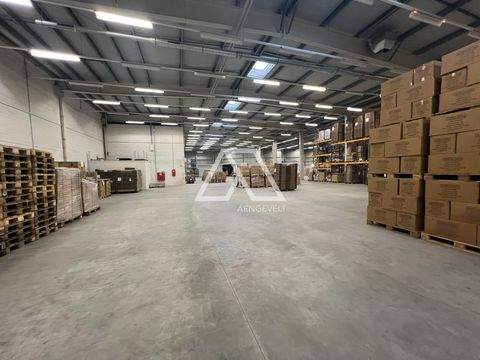 Magdeburg Halle, Magdeburg Hallenfläche