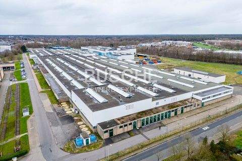 Gronau Halle, Gronau Hallenfläche