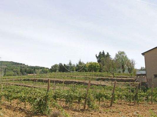 Traumhaften Anwesen | Arezzo