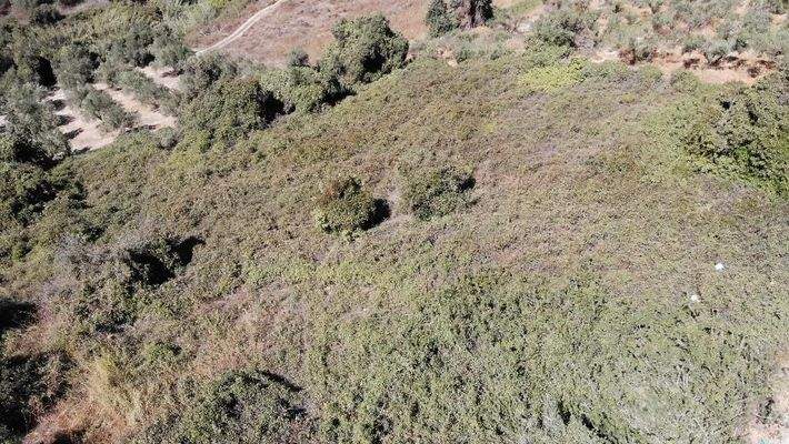 Kreta, Kera: Grundstücke mit Meer- und Bergblick nahe Kalyves zu verkaufen