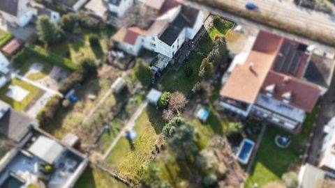 Bobenheim-Roxheim Häuser, Bobenheim-Roxheim Haus kaufen