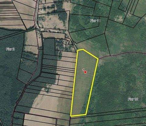 Ahlbeck Bauernhöfe, Landwirtschaft, Ahlbeck Forstwirtschaft