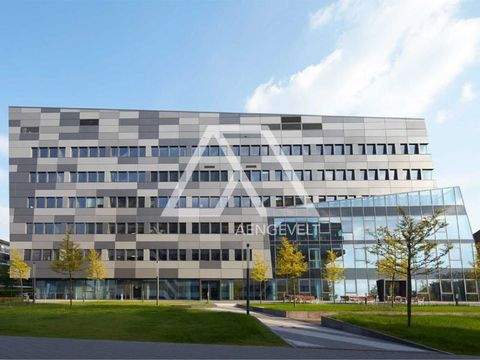 Düsseldorf Büros, Büroräume, Büroflächen 