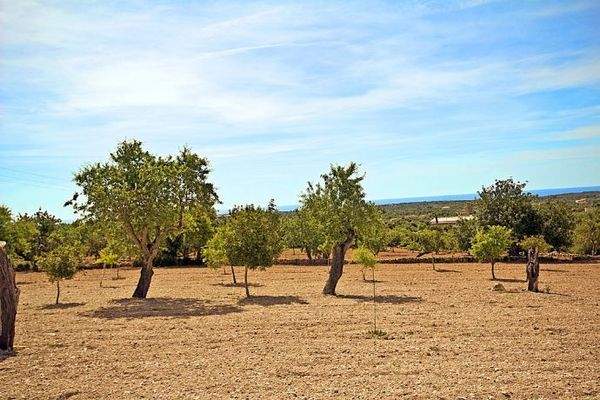 Meerblick Grundstück bei Santanyi