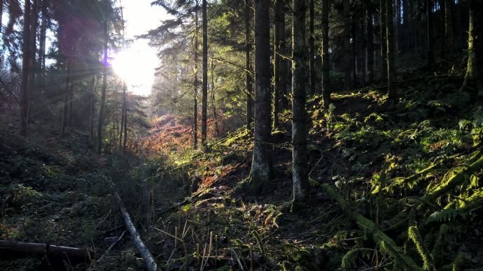 Ende des Bachtals Richtung Süden  