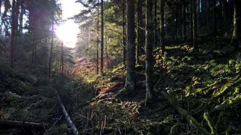 Overath Grundstücke, Overath Grundstück pachten