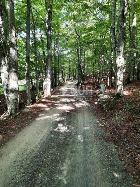 Fuzine Bauernhöfe, Landwirtschaft, Fuzine Forstwirtschaft