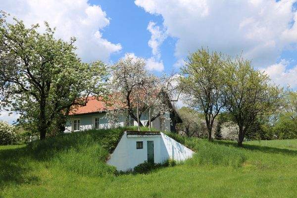 Ostansicht des Hauses/Obstgarten
