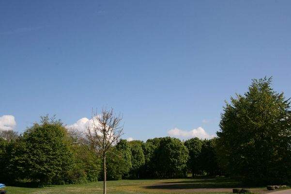 Ziegelweiher Park in direkter Nachbarschaft