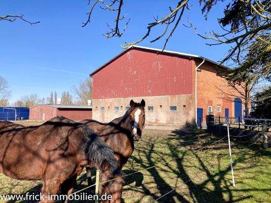 019-Scheune SW-Ansicht.JPG