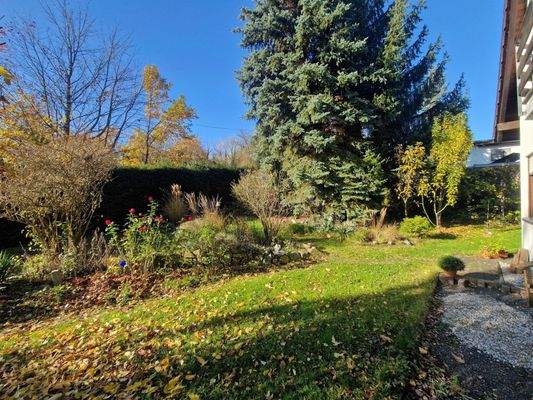 Ansicht Garten