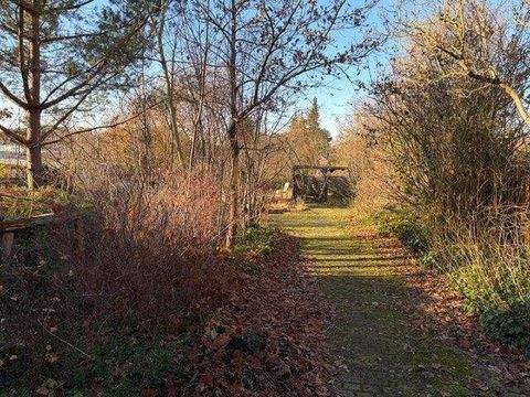 Adendorf Häuser, Adendorf Haus kaufen