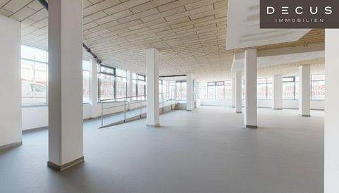 Wien Ladenlokale, Ladenflächen 