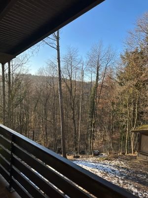 IMG_5278.jpeg