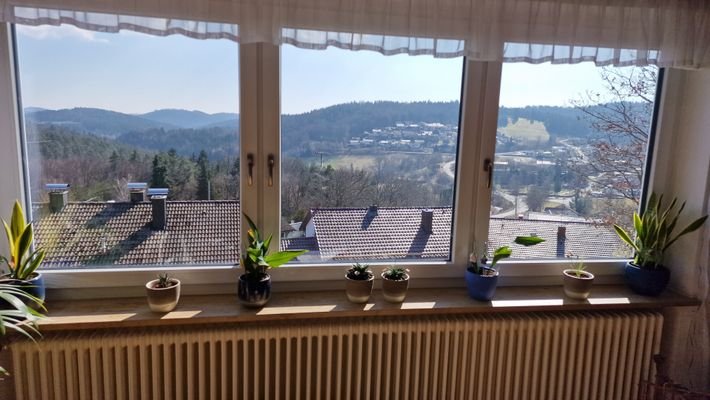 Fernblick Wohnzimmer EG