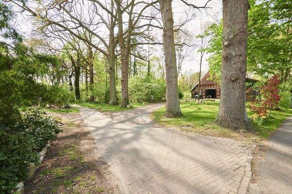 Impressionen der Umgebung