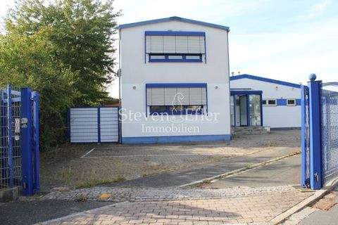 Feucht Halle, Feucht Hallenfläche