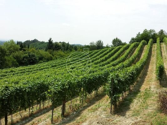 Wunderschönes Anwesen | Montepulciano