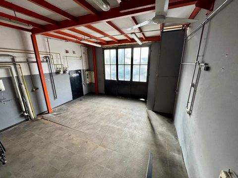 Waldkraiburg Halle, Waldkraiburg Hallenfläche