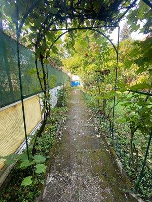 WhatsApp Image 2024-09-25 at 14.16.01 (7)