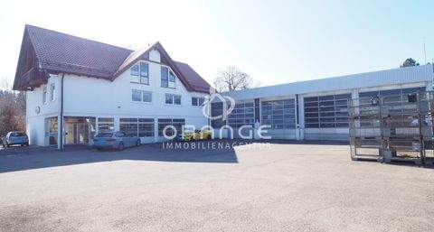 Illertissen Halle, Illertissen Hallenfläche