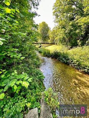 Lebensader Hachinger Bach 