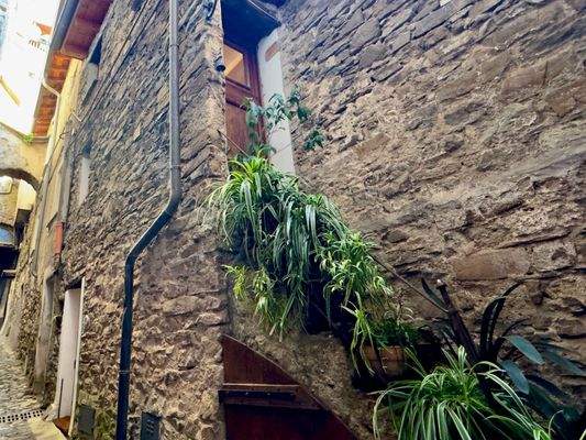 AP989_24 TERRA ITALIA IMMOBILIEN_TERRA ITALIA IMMO