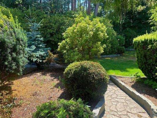 Weg zum Waldgrundstück