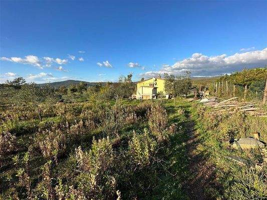 Garten mit Hausansicht