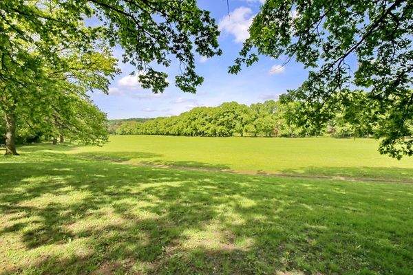 Wohnen direkt an der Klosterwiese