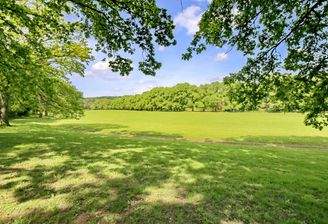 Wohnen direkt an der Klosterwiese