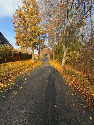 Spazierweg hinter dem Grundstück