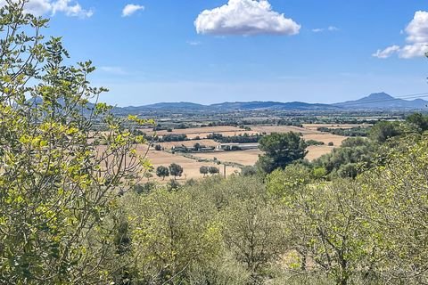 Manacor Grundstücke, Manacor Grundstück kaufen