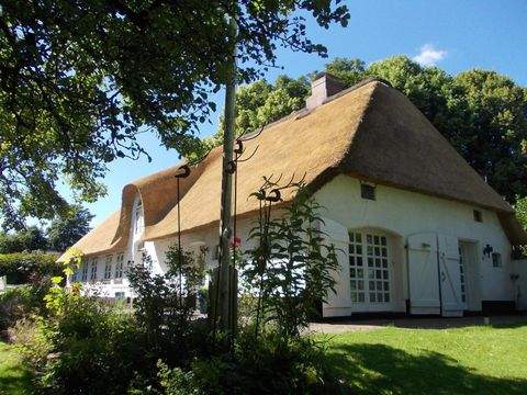 Stadum Häuser, Stadum Haus kaufen