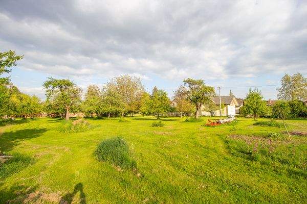 250511_Grundstück Königseggwald-16