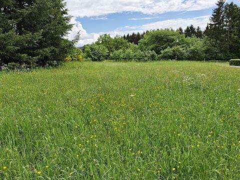 Prüm - Weinsfeld Grundstücke, Prüm - Weinsfeld Grundstück kaufen