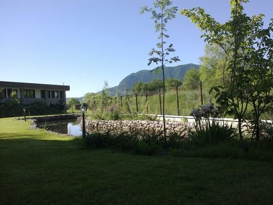 Bild 14