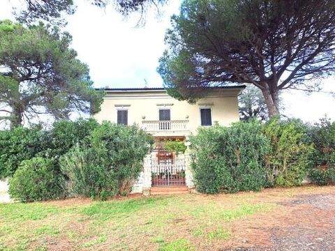 montescudaio Häuser, montescudaio Haus kaufen