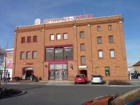 Torgau Ladenlokale, Ladenflächen 