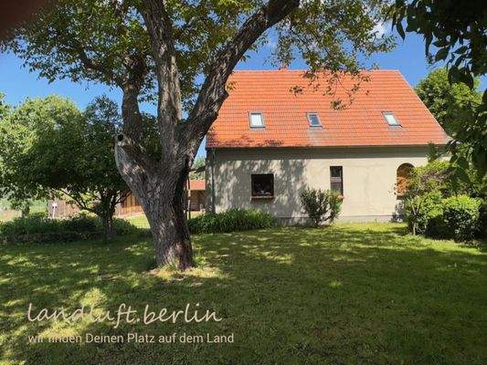 Anblick von Süden, davor ein stattlicher Walnussb