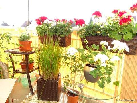 Coswig Wohnungen, Coswig Wohnung kaufen