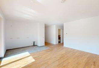 Wohnbereich + Küche