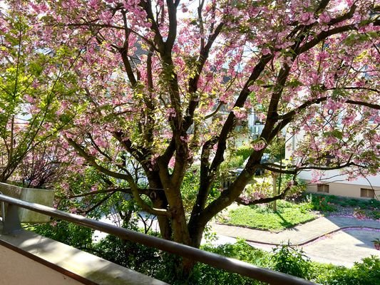 Ausblick Balkon