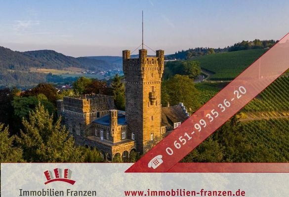 Drohnenbild Schloss Saarfels