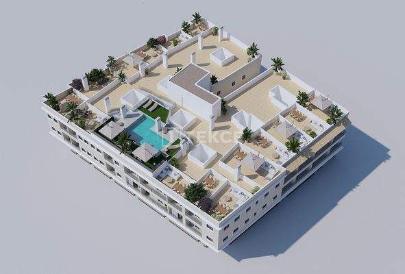 Contemporary Apartments with Terraces in Algorfa