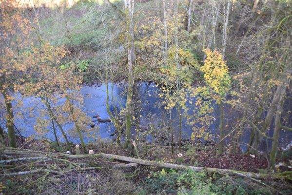 Aus dem Schlafzimmer Blick auf die Wupper