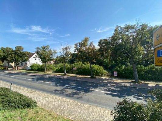 PHOTO-2021-02-02-22-33-48(3)