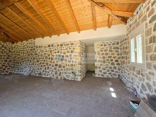 img_cc72dd26-34b1-40ea-8180-461b1a370645